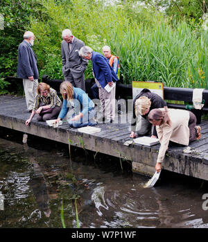 Adults from the London Natural History Society pond dipping at Camley Street nature reserve, King's Cross, London, UK, June 2009 Stock Photo