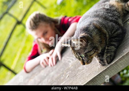 Blurry young woman wearing red plaid shirt and sitting at bench behind adorable cat on wooden table. Stock Photo
