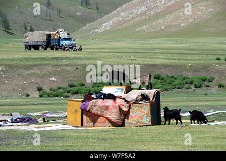 transportation of a disassembled ger by a truck in the center of Mongolia Stock Photo