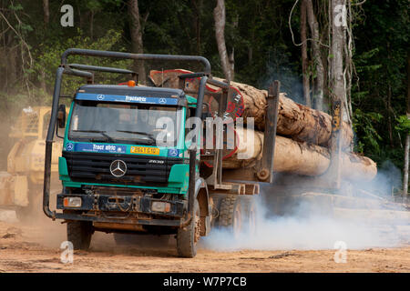 Trucks used for large-scale hardwood timber extraction with hardwood logs being taken from lumber yard located inside the Lope National Park. Onward shipment via sea takes place from Libreville, Gabon. 2009 Stock Photo