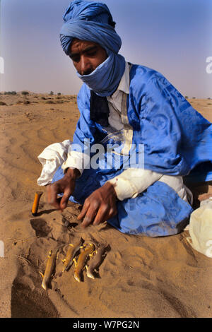 Bedouin preparing sandfish (Scincus albifasciatus) to eat, Erg Chigaga, Morocco Stock Photo