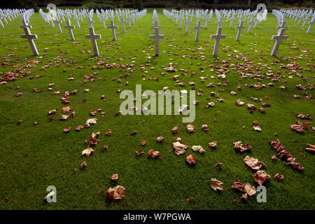 The graves of American soldiers who died in World War 1, in June and July 1918, Bois Belleau, France, September 2012 Stock Photo