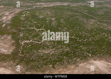 Aerial of Goyder Lagoon, part of the Strzelecki Desert in the far north eastern part of South Australia with many streams that have turned a once dry desert into hundreds of square kilometres of rich green landscape. South Australia, July 2011 Stock Photo