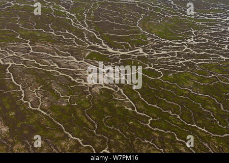 Aerial of Goyder Lagoon, part of the Strzelecki Desert in the far north eastern part of South Australia with many streams that have turned a once dry desert into hundreds of square kilometres of rich green landscape. South Australia, July 2011 Stock Photo