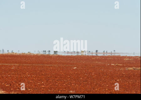 Gibber Rocks gibber rocks Australia Stock Photo - Alamy