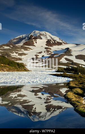 View of Mount Rainier from upper Spray Park in Mount Rainier National Park. Washington, USA, August 2011. Stock Photo