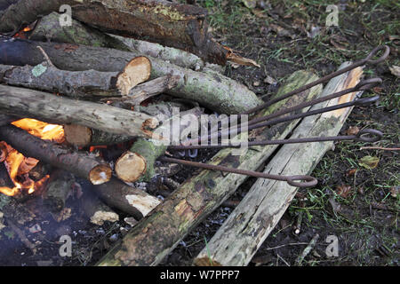 Fire used for heating branding irons on pony round up, New Forest National Park, Hampshire, England, UK, September Stock Photo