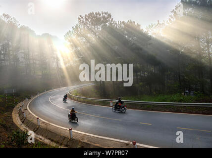 Cars or Motorcyclists driving on  country road through pine forests with rays shining on the foggy beautiful road, this is a beautiful road in Da Lat, Stock Photo