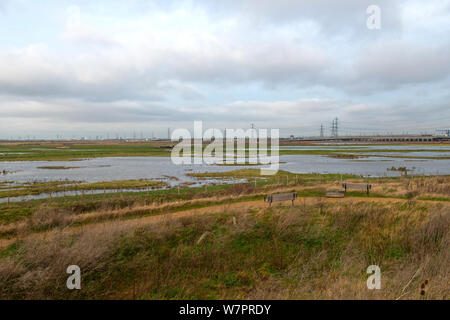 Rainham Marshes RSPB Nature Reserve, Essex, England, January 2013 Stock Photo