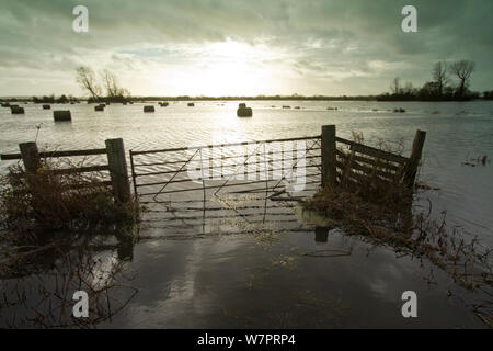 Flooded farmland with hay bales on Tealham Moor  at sunset, Somerset Levels, England, December 2012 Stock Photo