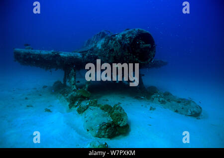 Wreck of Japanese Aichi E13A Reconnassance float plane (Allied code name: 'Jake' ) Shortland Islands, Solomon Islands, July 2012 Stock Photo