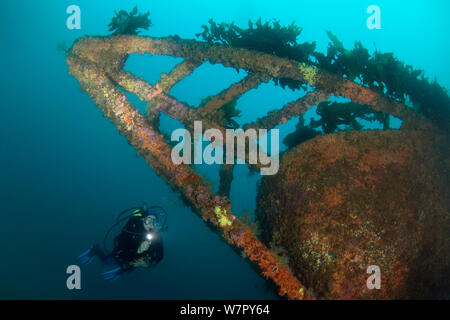 Wreck of the Rainbow Warrior with diver, Cavalli Islands, New Zealand, January 2013. Model released. Stock Photo