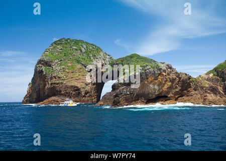 Poor Knights Islands reserve, North Island, New Zealand, January 2013 Stock Photo