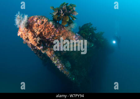 Wreck of the Rainbow Warrior with diver, Cavalli Islands, New Zealand, February 2013. Model released. Stock Photo