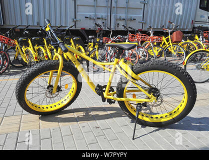 View of a fatbike with oversized tires, also called fat bike or fat-tire bike, of Chinese bike-sharing service ofo, in Beijing, China, 26 June 2017. Stock Photo