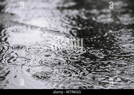 Impact of raindrops falling down Stock Photo