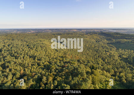 aerial view across the surrey countryside from leith hill on the surrey hills near dorking surrey Stock Photo