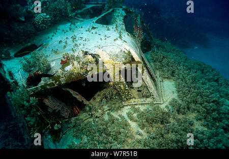 Wreck of 'Kawanishi H8K' (Codename: 'Emily' by the Allies) Japanese flying boat. Shortland Islands, Solomons. Stock Photo