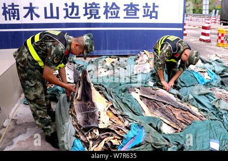 Coast guards check one ton of smuggled crocodile skins in Fangchenggang city, south China's Guangxi Zhuang Autonomous Region, China, 28 June 2017.   G Stock Photo