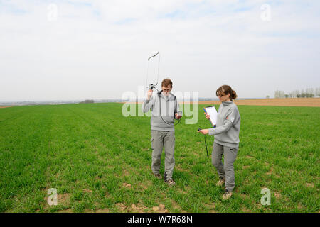 Scientists from the French Wildlife Department (ONCFS) radio tracking common hamsters (Cricetus cricetus) in a wheat field, Alsace, France, April 2013 Stock Photo