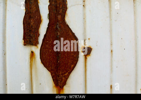 background with detail from old iron door Stock Photo
