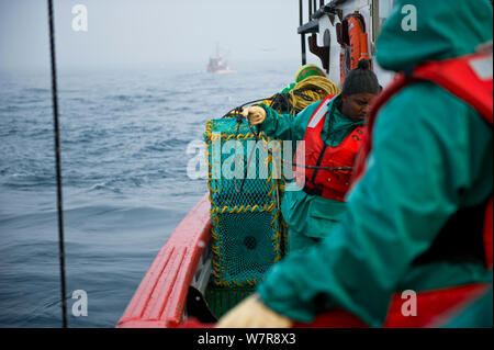 West Crew Rsa The crew of the James Archer, Oceana fisheries, throws baited lobster ...