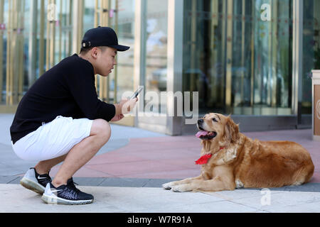 The golden retriever painted with a pair of thick eyebrows is pictured with a local resident in Shenyang city, northeast China's Liaoning province, 21 Stock Photo