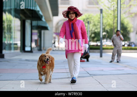 The golden retriever painted with a pair of thick eyebrows is pictured with its owner in Shenyang city, northeast China's Liaoning province, 21 June 2 Stock Photo