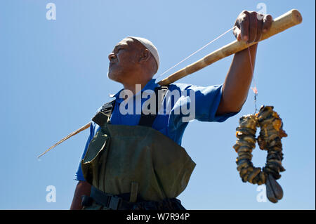 West coast rock lobster (Jasus lalandii) recreational fisherman, with limpet bait on bamboo pole. Kommetjie, South Africa. Stock Photo