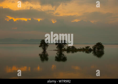 Dawn with trees reflected in water, Yala National Park Sri Lanka, India Stock Photo