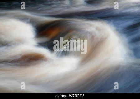 The River Washburn in North Yorkshire showing a large quantity of fast flowing water due to water being released from the dam by Yorkshire Water Stock Photo