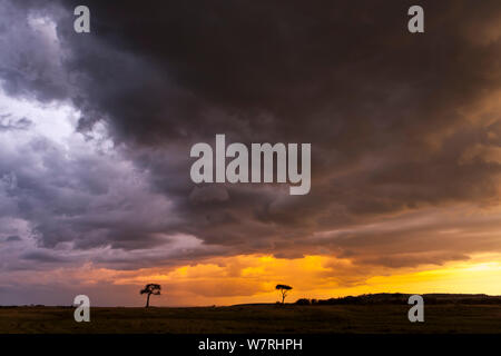 Sunset and storm over Masai-Mara Game Reserve, Kenya Stock Photo
