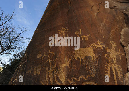 Newspaper Rock, petroglyph panel etched in sandstone, Indian Creek, Utah, USA, December 2012. Stock Photo
