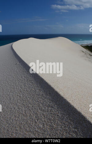 Sand dunes, near Koppie Alleen, De Hoop Nature Reserve, Western Cape, Overberg, South Africa. Stock Photo