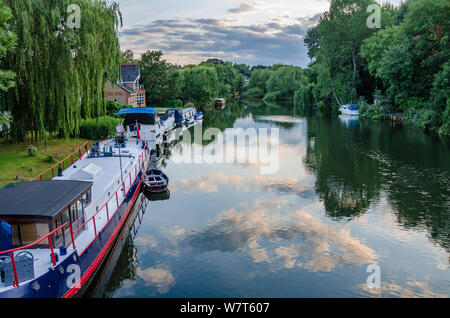 Boats moored alongside the edge of The River Thames at Pangbourne  in West Berkshire, UK Stock Photo