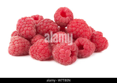 Raspberry fruit closeup isolated on white background Stock Photo