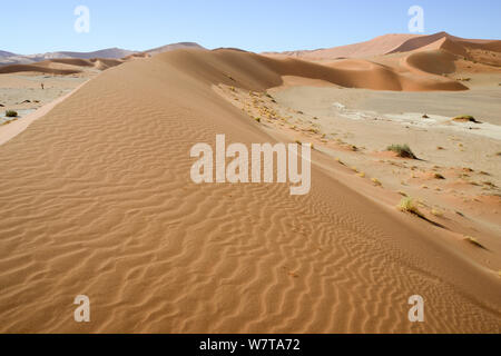 Sand dunes at Sossusvlei, Namib-Naukluft National Park, Namibia, September 2013. Stock Photo