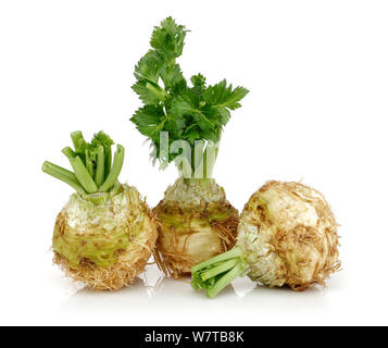 Fresh celeriac root with celery stalks isolated background Stock Photo