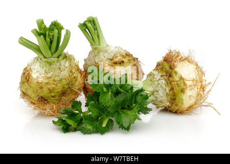 Fresh celeriac root with celery stalks isolated background Stock Photo