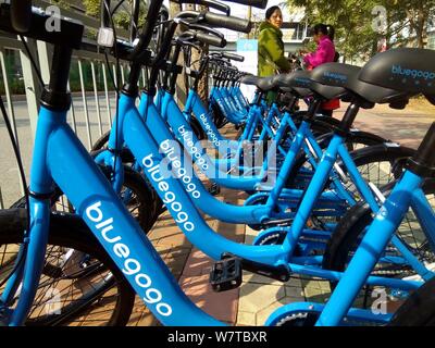 bluegogo bike for sale