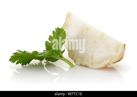 Fresh celery stalks and slice isolated on white background Stock Photo