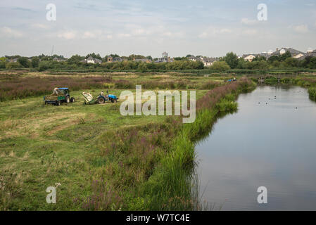 Reserve management in late summer - cutting hay, WWT London Wetland Centre, Barnes, London, September 2013. Stock Photo