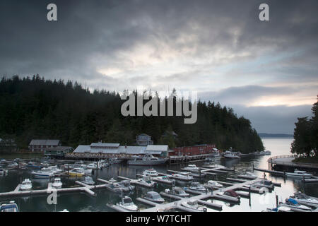 Last evening light in Telegraph Cove, a small harbour in the Northern part of Vancouver Island, British Columbia, Canada, August. Stock Photo