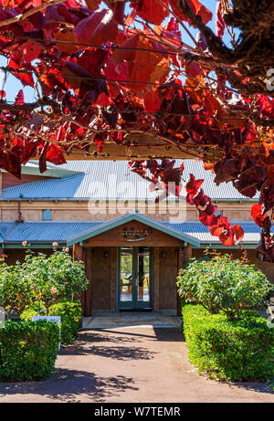 Autumn vine framed view of the entrance to Sittella Winery restaurant in the Swan Valley wine region, Western Australia Stock Photo