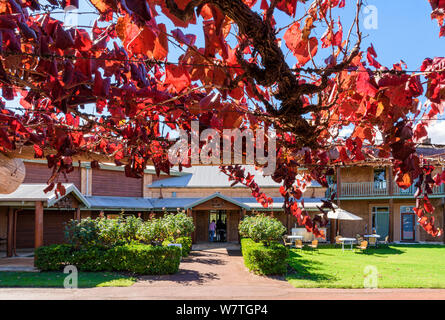Autumn vine framed view of the entrance to Sittella Winery restaurant in the Swan Valley wine region, Western Australia Stock Photo