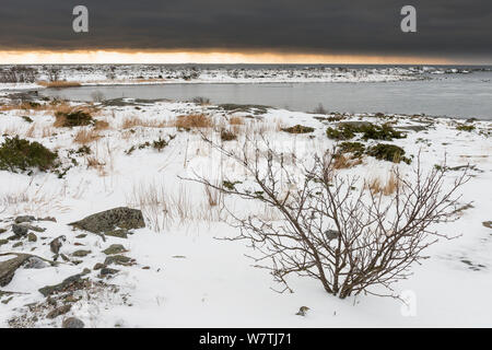 Uto, farthest island of Baltic Sea archipelago in the Aland Islands, southwest Finland, February. Stock Photo