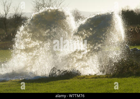 High powered water pumps, pumping water from January 2014 flooding, Somerset Levels, England, UK, 11th January 2014. Stock Photo