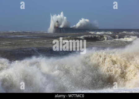 Waves breaking over lighthouse at Newhaven Harbour wall viewed from Seaford, Sussex, England, UK, 15th February 2014. Stock Photo