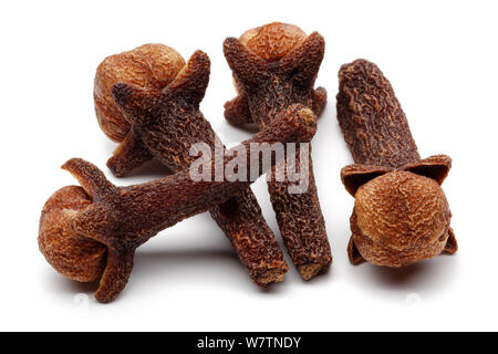Dry clove buds isolated on white background Stock Photo