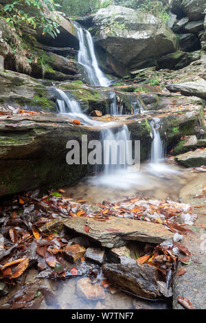 Hidden Falls, Hanging Rock State Park. The Falls are part of the Mountains-to-Sea State Trail. North Carolina, USA, October 2013. Stock Photo